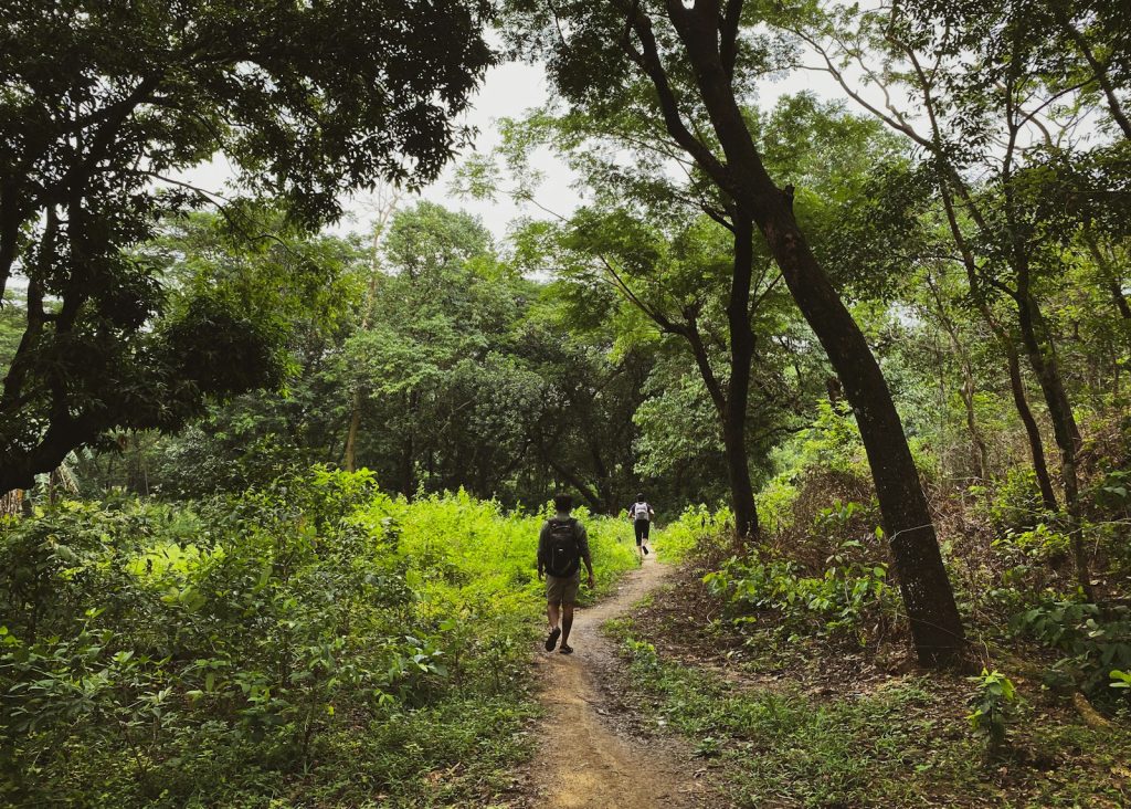 two people walking down a dirt path in the woods