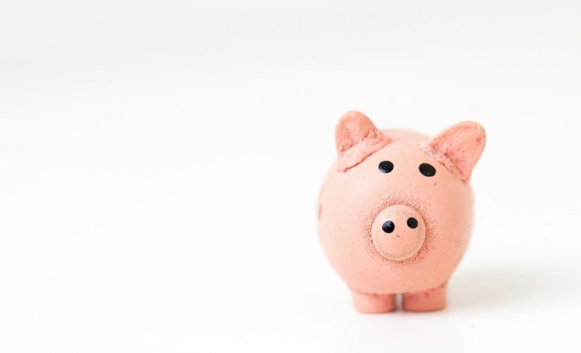 pink pig figurine on white surface