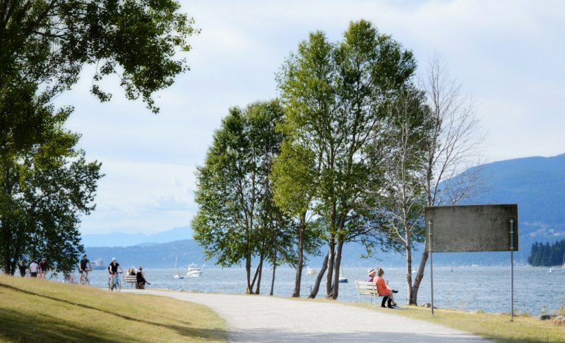 people walking on beach during daytime