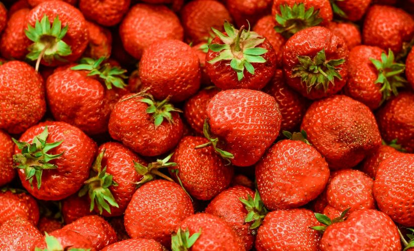 strawberry lot