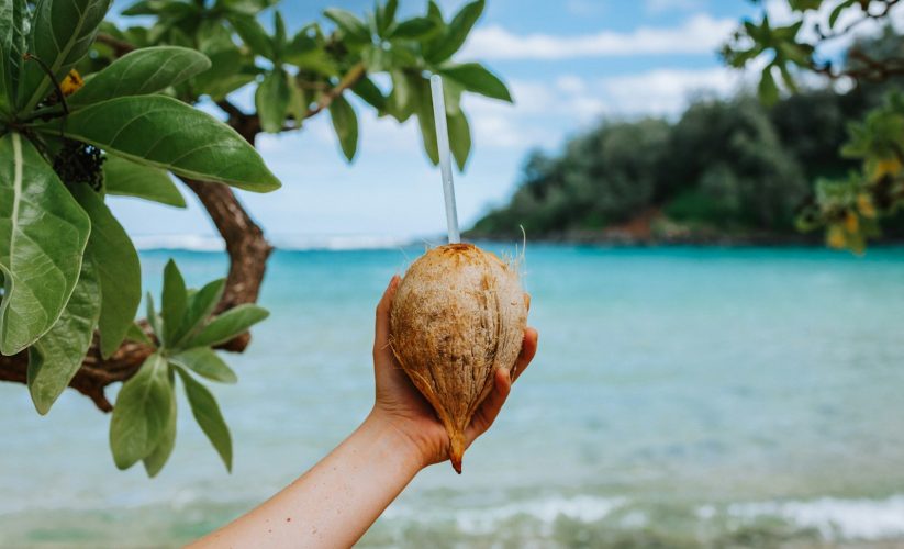 a hand holding a fruit