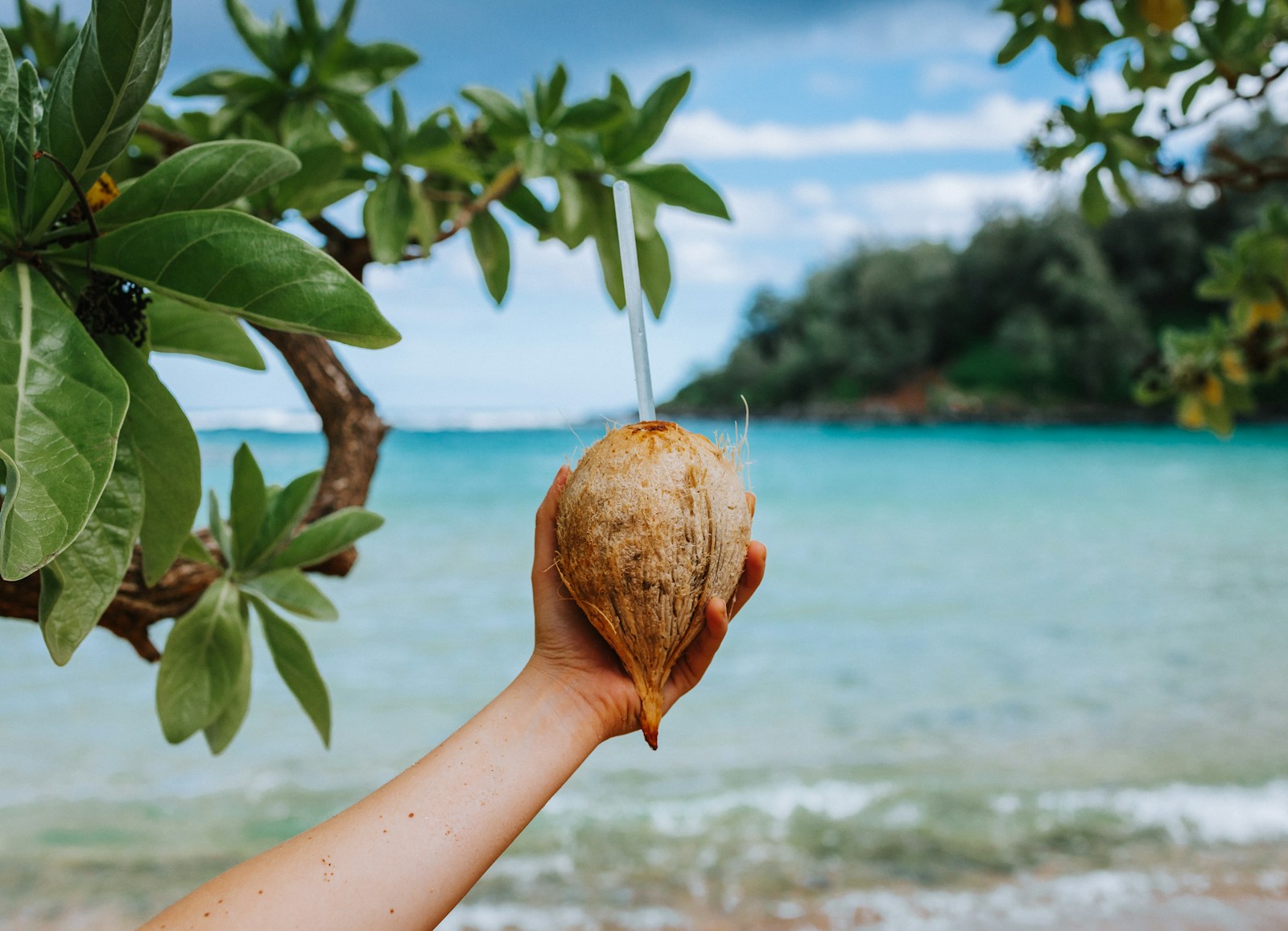 Manfaat Mengonsumsi Air Kelapa untuk Kesehatan