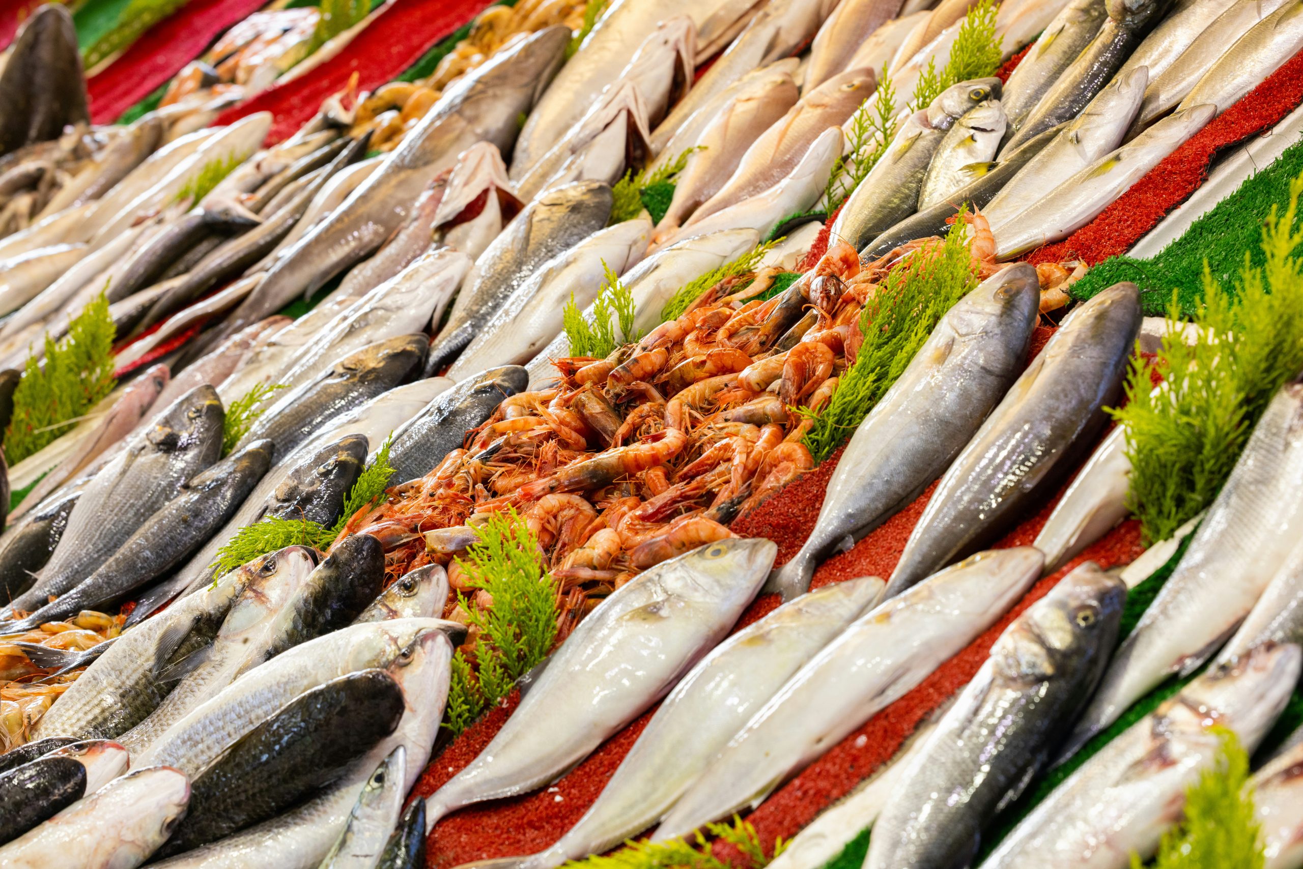 Manfaat Konsumsi Ikan untuk Kesehatan